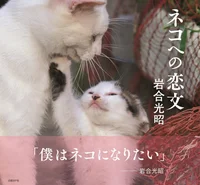 至高のネコ愛に胸キュン必至「岩合光明のネコ写真集」新刊