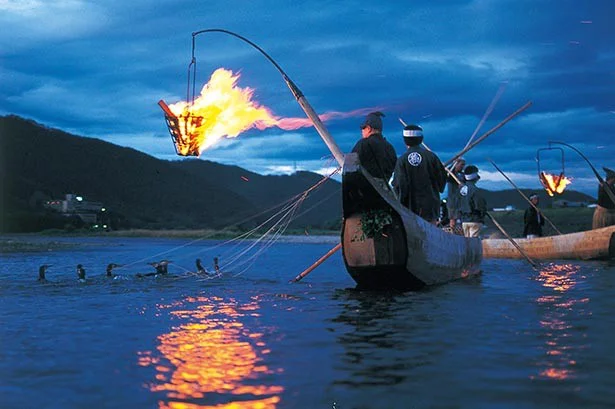1300年以上続く伝統漁法、長良川の鵜飼