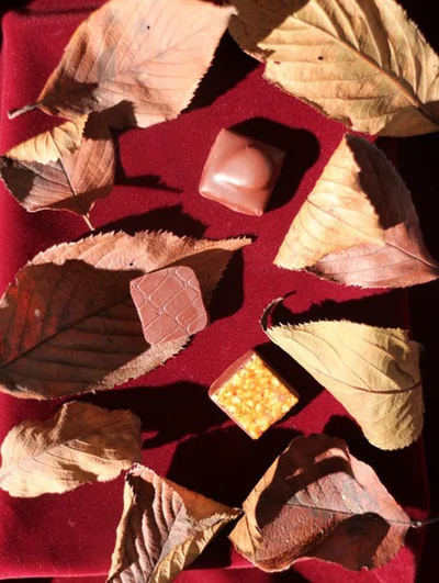 秋にぴったり！ フランスの人間国宝が作ったショコラオータム