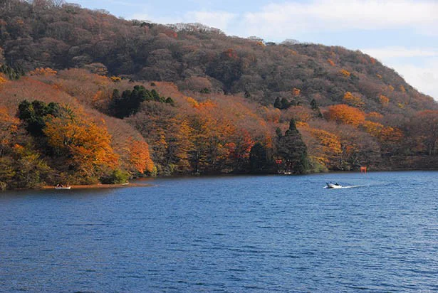 ランキング1位　神奈川県箱根エリア　芦ノ湖の紅葉