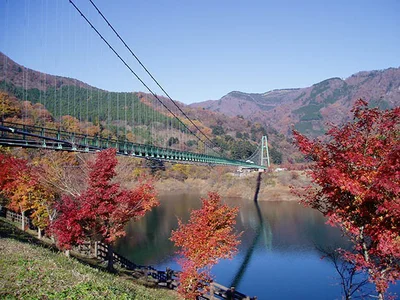 ランキング2位　栃木県の塩原・矢板・大田原・西那須野エリア　全長320メートルの「もみじ谷大吊橋」  