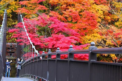 ランキング2位　栃木県の塩原・矢板・大田原・西那須野エリア　紅の吊橋