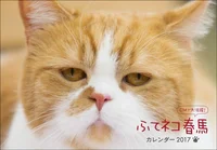 ブサかわCMネコ「ふてネコ春馬」の2017年カレンダー発売