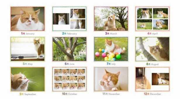ブサかわcmネコ ふてネコ春馬 の17年カレンダー発売 画像2 7 レタスクラブ