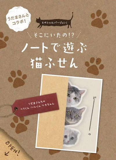 【写真を見る】ノートを使わない時でもつい手に取りたくなる！　付録の「うだまさんとコラボ！ノートで遊ぶ猫ふせん」1セット（3種各5枚）