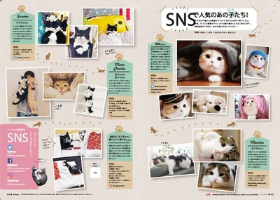 「肉球」「お宝袋とじ」など、猫部ユーザーからのかわいい猫写真投稿ギャラリー