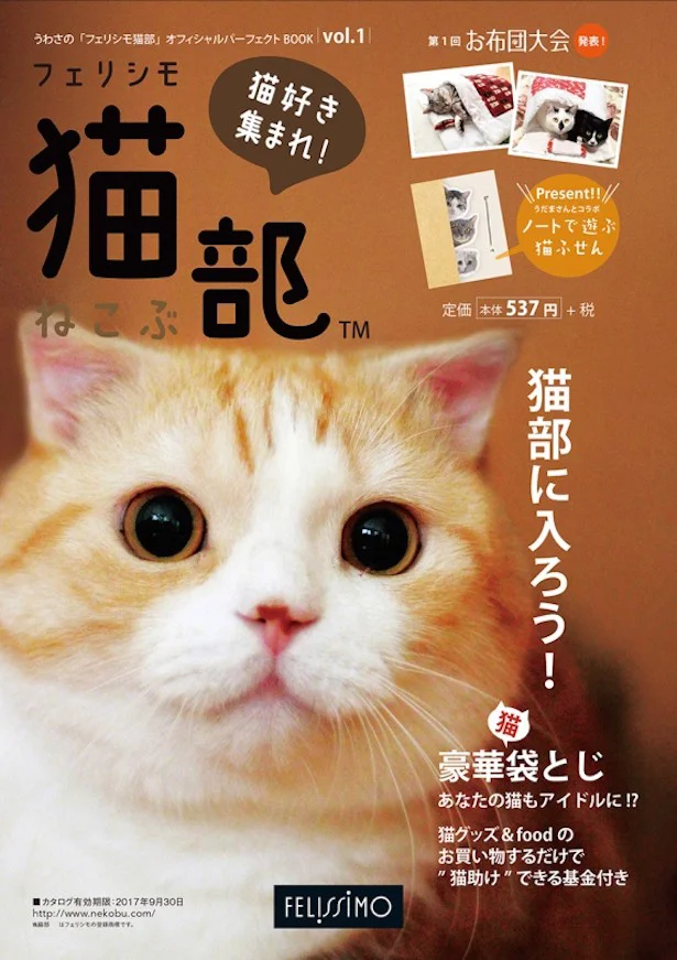 龍馬君の可愛さ以外にも魅力たっぷりのフェリシモ猫部 オフィシャルパーフェクトBOOK Vol.1　580円(税込)