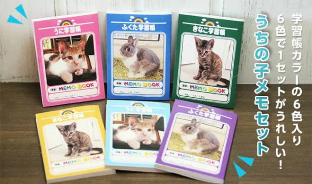 かわいいペット写真をメモの表紙にできるプリントサービス