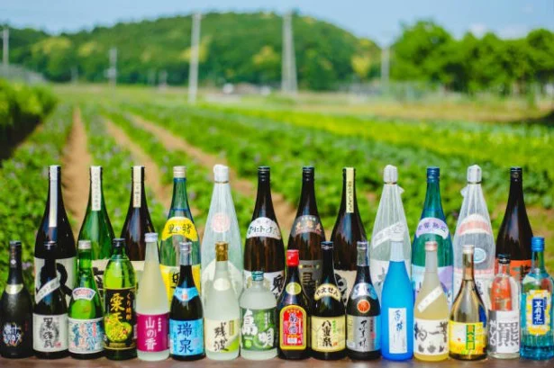 どれがお気に入り？　いろいろ楽しみたい日本酒イベント