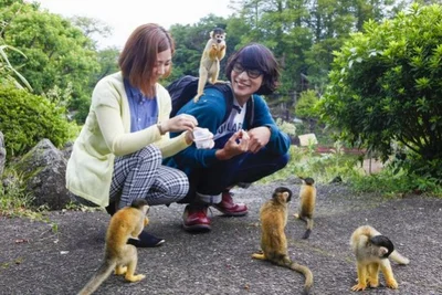 放し飼いのクジャクやリスザルと出会える、伊豆シャボテン動物公園。新宿でも、巨大ウサギやフレミッシュジャイアント、モルモット、チンチラとの触れ合いコーナーが登場する