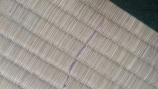 （写真5）新しい畳に、クレヨン攻撃やられました。