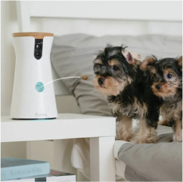 全世界5 000匹以上のワンちゃんと飼い主が愛用するドッグカメラで留守番中のペットの様子を外からチェック 画像2 4 レタスクラブ 全世界5 000匹以上のワンちゃんと飼い主が愛用するドッグカメラで留守番中のペットの様子を外からチェック 画像2 4 レタスクラブ