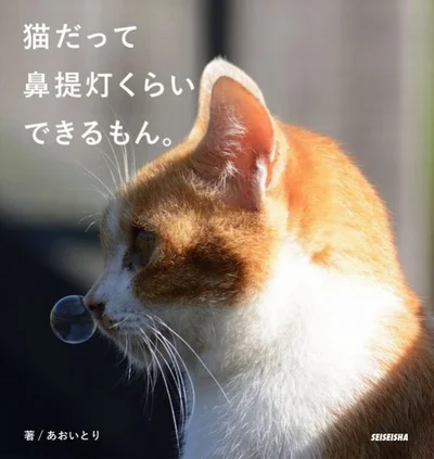 『猫だって鼻提灯くらいできるもん。』は、猫本専門 神保町「にゃんこ堂」の「ニャンダフルな猫の本100選」に選ばれた。