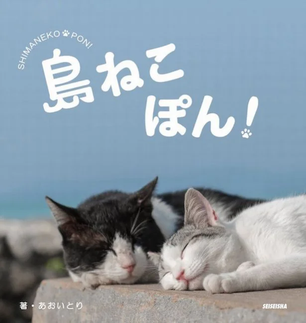 東北、関東、関西、中国、四国、九州、沖縄の「島猫」を撮影した二作目。