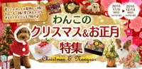 おいしい｢コミフ｣で愛犬と絆を深める年末年始に