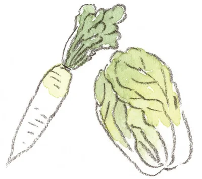 【写真を見る】冬野菜の代表格・白菜や大根は加熱して食べるのがベスト。体を冷やしにくくします