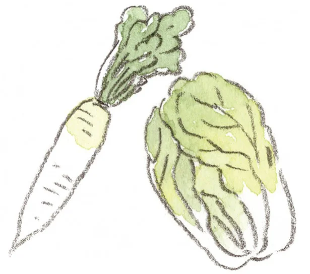 【写真を見る】冬野菜の代表格・白菜や大根は加熱して食べるのがベスト。体を冷やしにくくします