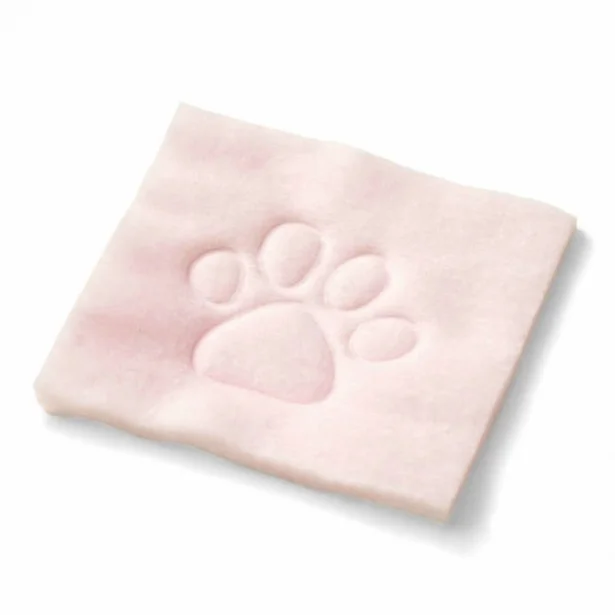 猫の手も借りたい？癒やし系プニプニ肉球スキンケア