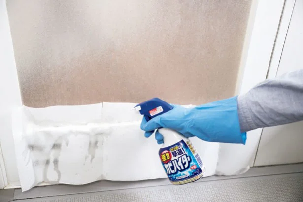 家事のプロに聞く 大掃除 パパもラクラク 浴室のドアパッキンのカビ攻略法 画像1 2 レタスクラブ