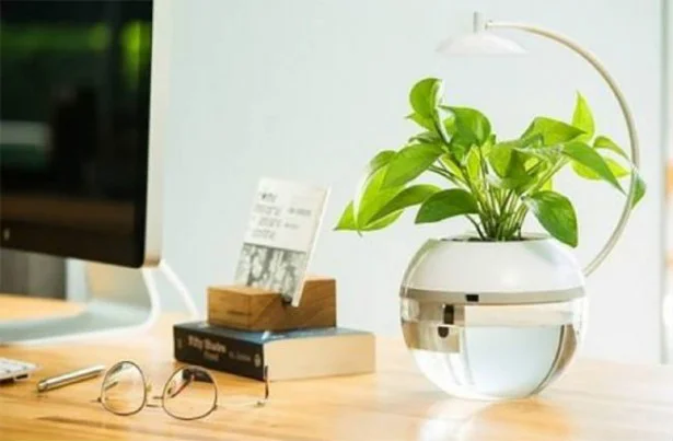 スマホで植物と魚を管理するスマートアクアリウム誕生