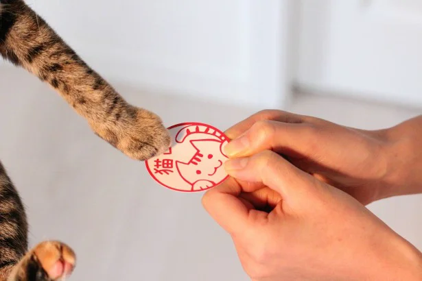 可愛く自己紹介！猫好きさんの丸形名刺が登場