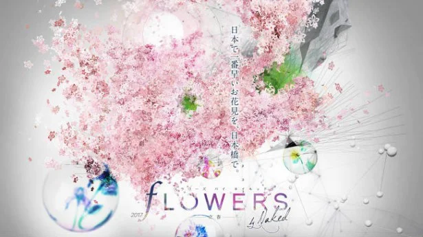 【写真を見る】『FLOWERS by NAKED 2017－立春―』日本橋三井ホール　COREDO室町1　5F（エントランス4F）　2月2日（木）～3月20日（月・祝）10:00～20:00  