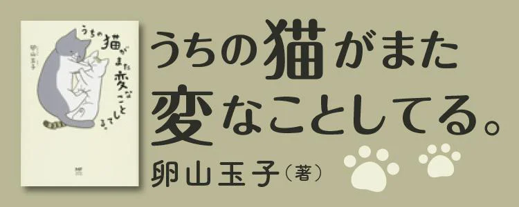 うちの猫がまた変なことしてる。