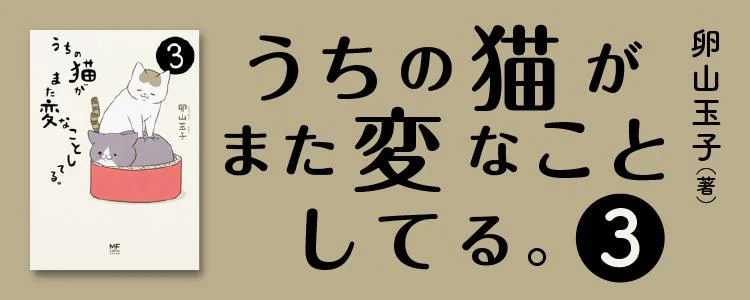 うちの猫がまた変なことしてる。3