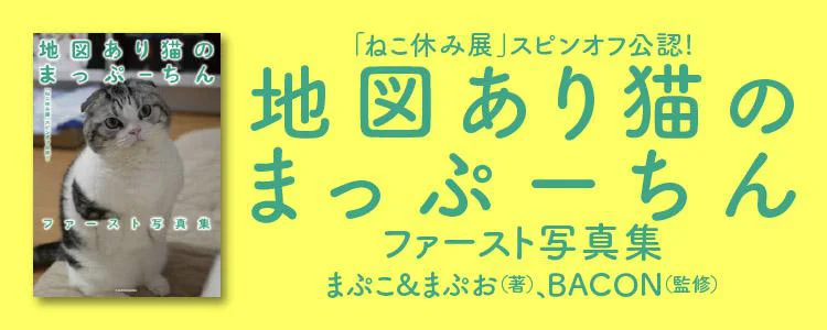 地図あり猫のまっぷーちん