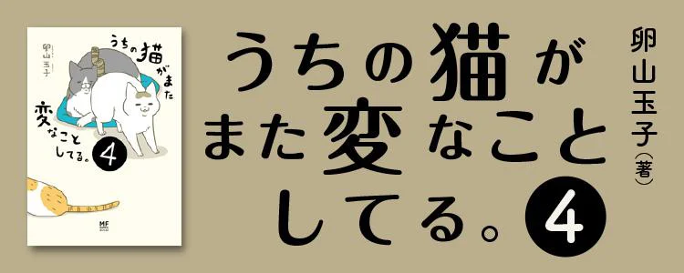 うちの猫がまた変なことしてる。4