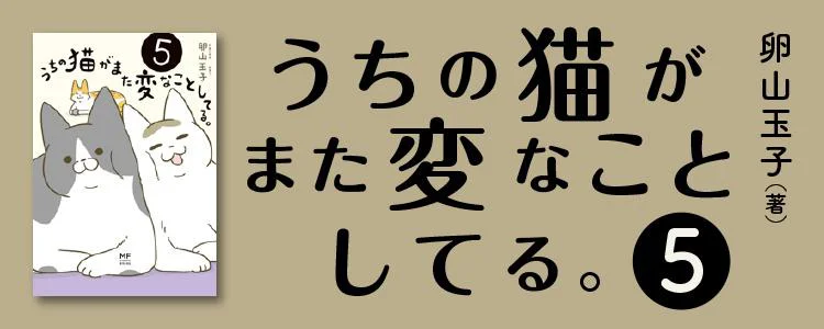 うちの猫がまた変なことしてる。5