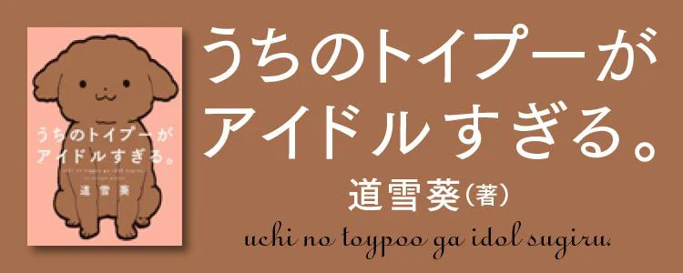 うちのトイプーがアイドルすぎる。