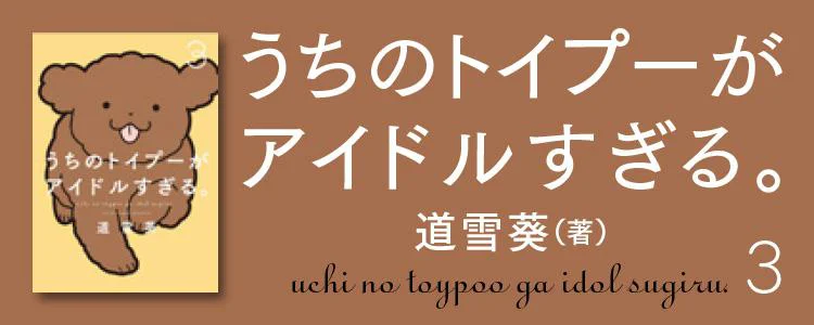 うちのトイプーがアイドルすぎる3