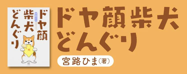 ドヤ顔柴犬どんぐり