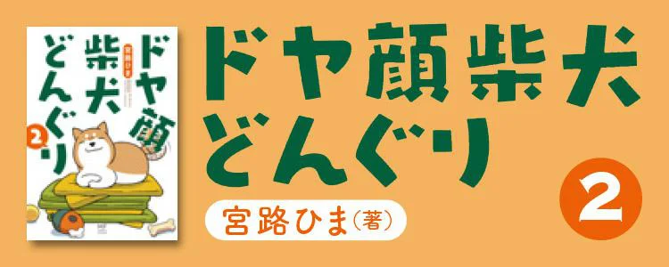 ドヤ顔柴犬どんぐり2