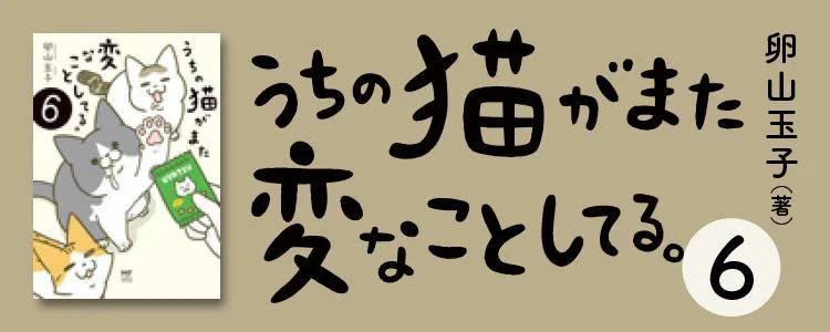 うちの猫がまた変なことしてる。6