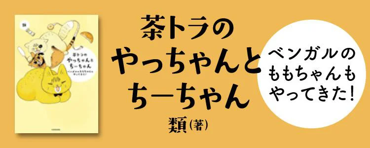 茶トラのやっちゃんとちーちゃん ベンガルのももちゃんもやってきた！