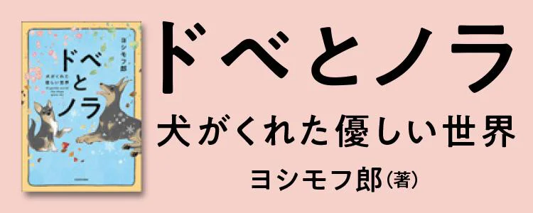 ドベとノラ 犬がくれた優しい世界