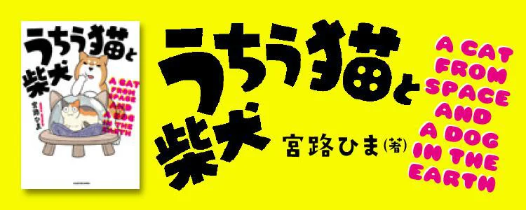 うちう猫と柴犬