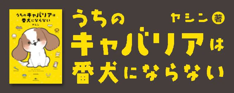 うちのキャバリアは番犬にならない