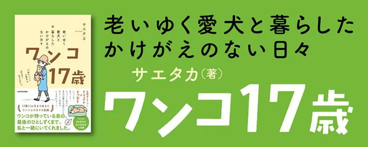 老いゆく愛犬と暮らしたかけがえのない日々 ワンコ17歳