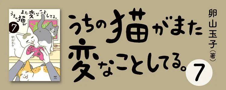 うちの猫がまた変なことしてる。7