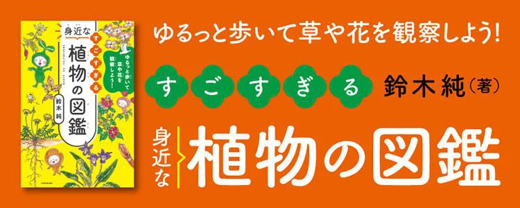 ゆるっと歩いて草や花を観察しよう！ すごすぎる身近な植物の図鑑