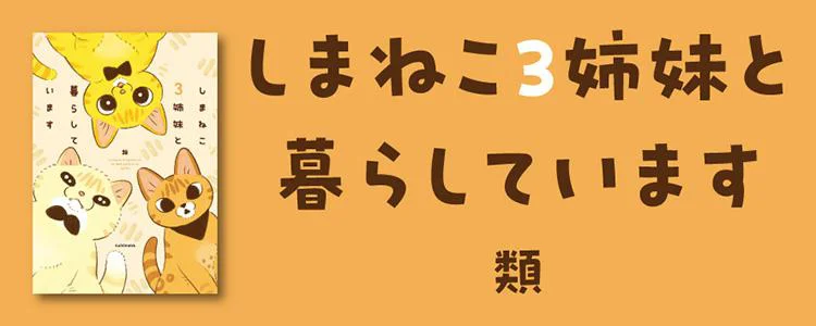 しまねこ３姉妹と暮らしています