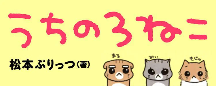 うちの3ねこ