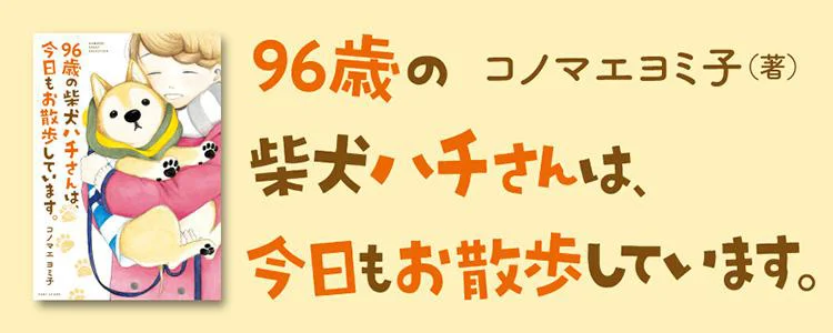 96歳の柴犬ハチさんは、今日もお散歩しています。