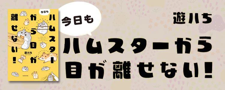 今日もハムスターから目が離せない！