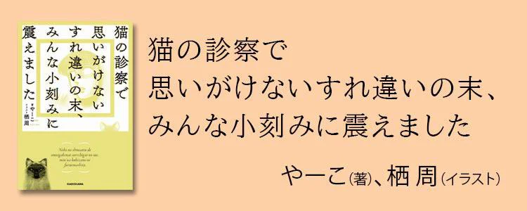 猫の診察で思いがけないすれ違いの末、みんな小刻みに震えました