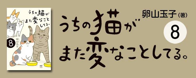うちの猫がまた変なことしてる。8