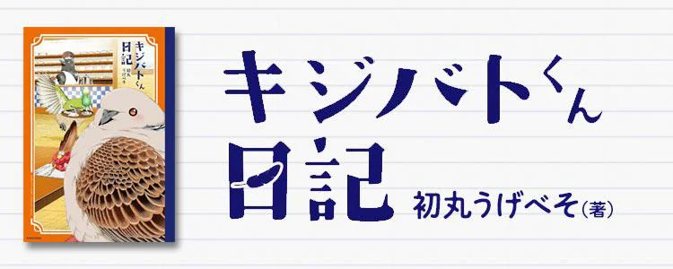 キジバトくん日記